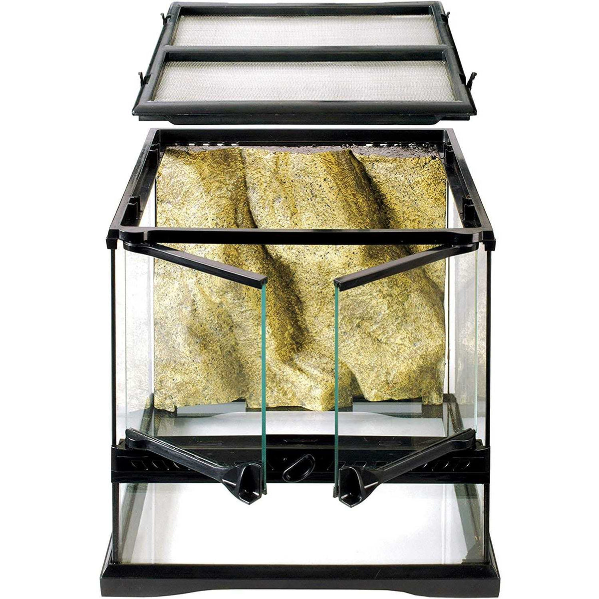 Glass Terrarium J580600