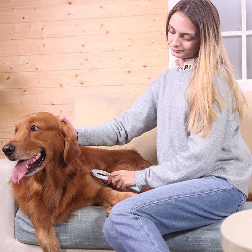 Modern Pet Grooming Rake Comb C901613