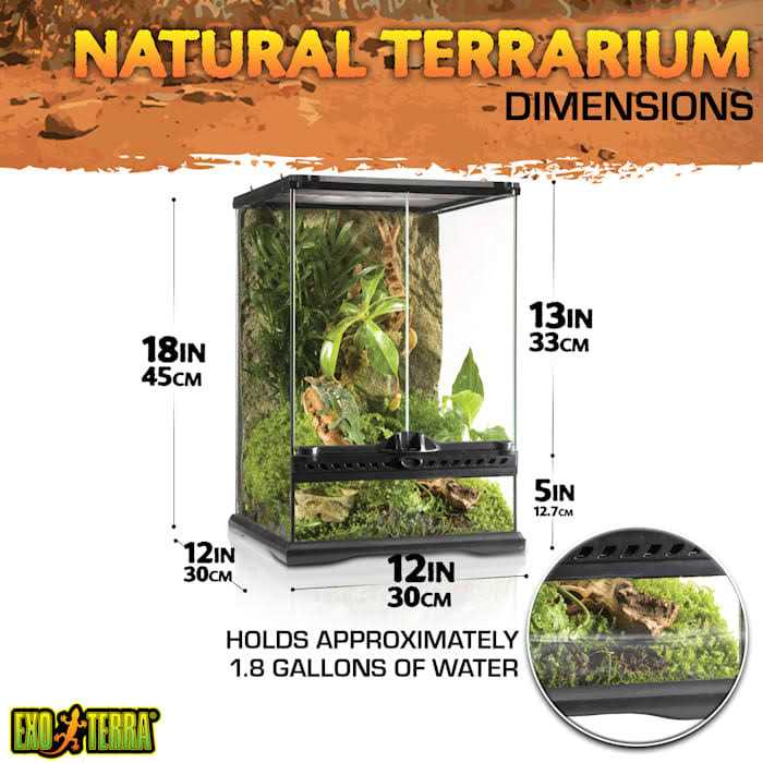 Glass Terrarium J580600