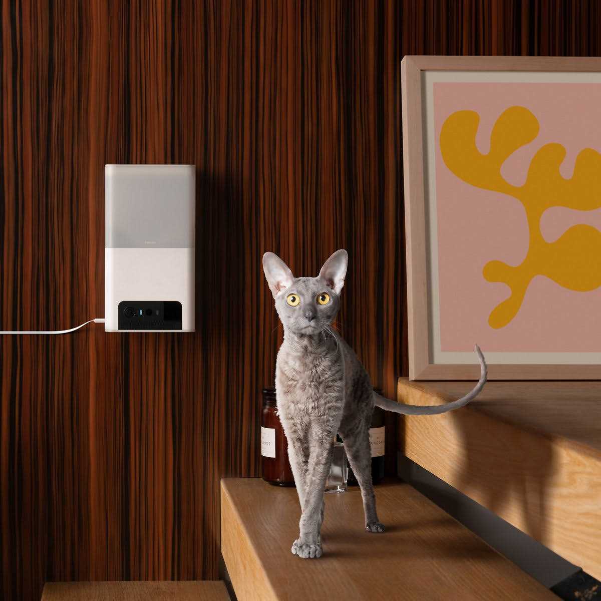 WiFi Pet Monitoring Camera with Treat Dispenser W373978
