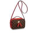 Strawberry Embroidery Backpack X75815