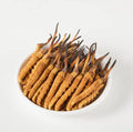 Whole Cordyceps Sinensis Mushroom 5 Grams D175