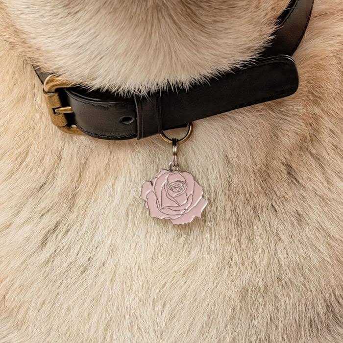 Rose Pet V694