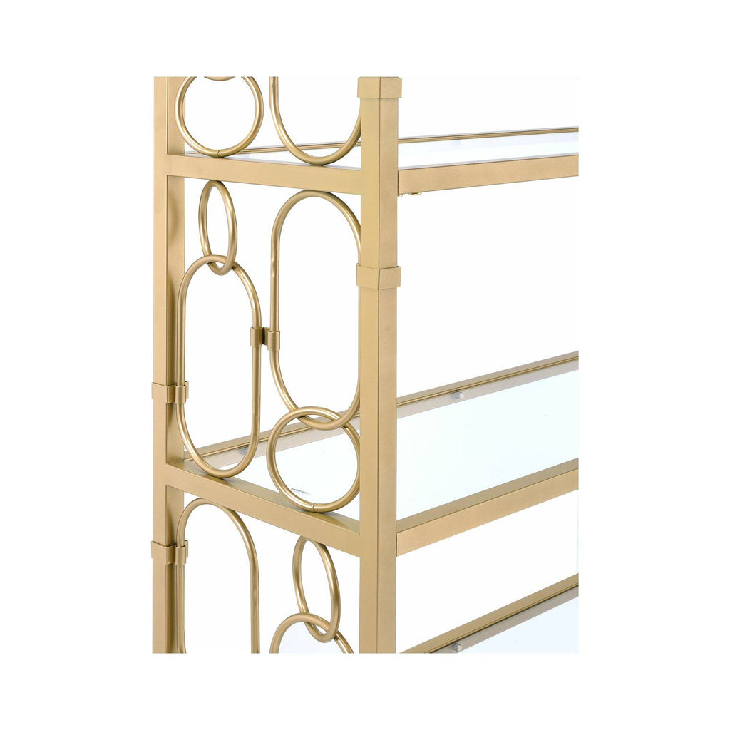 Clear Glass & Gold Bookshelf U166167