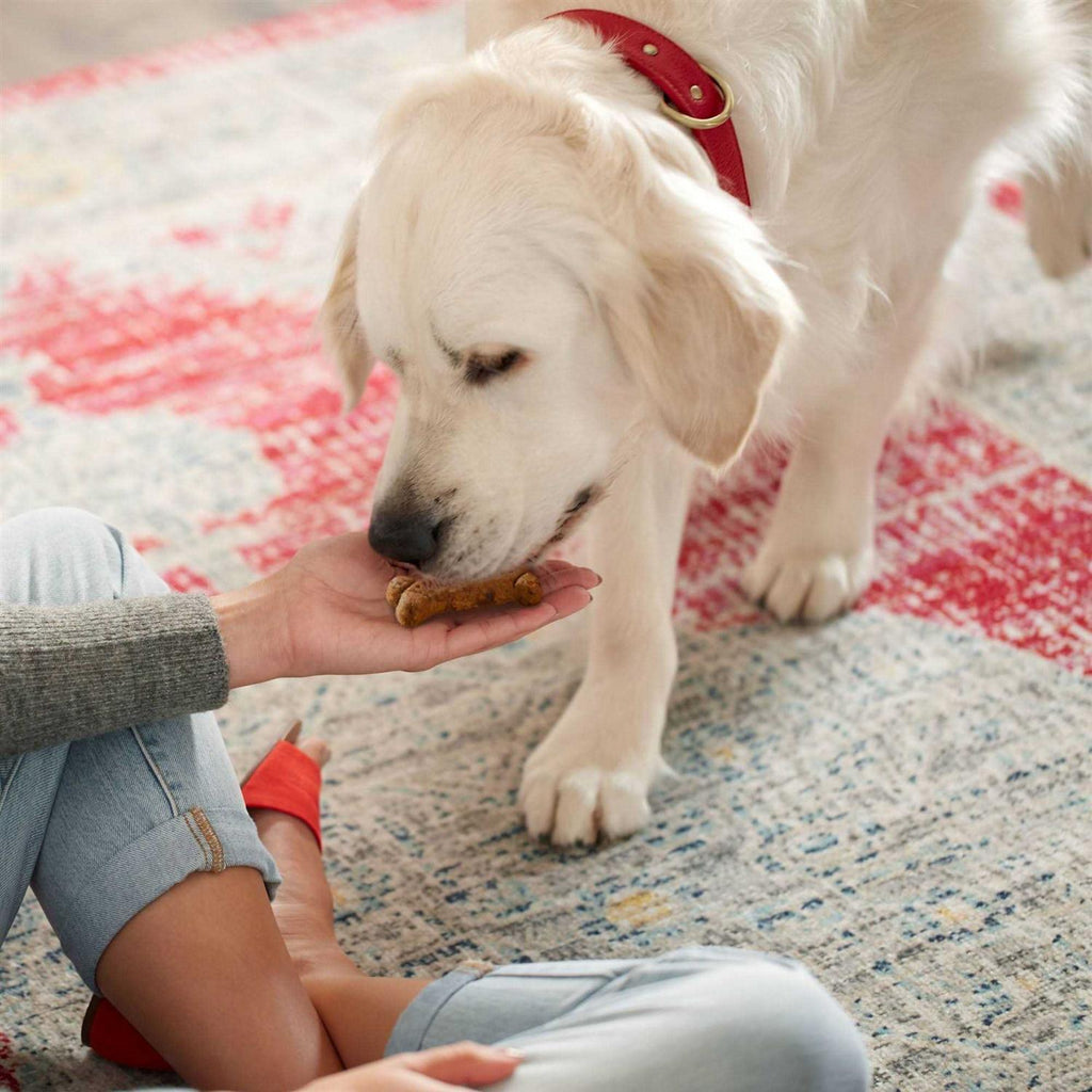 Dog Biscuits E244