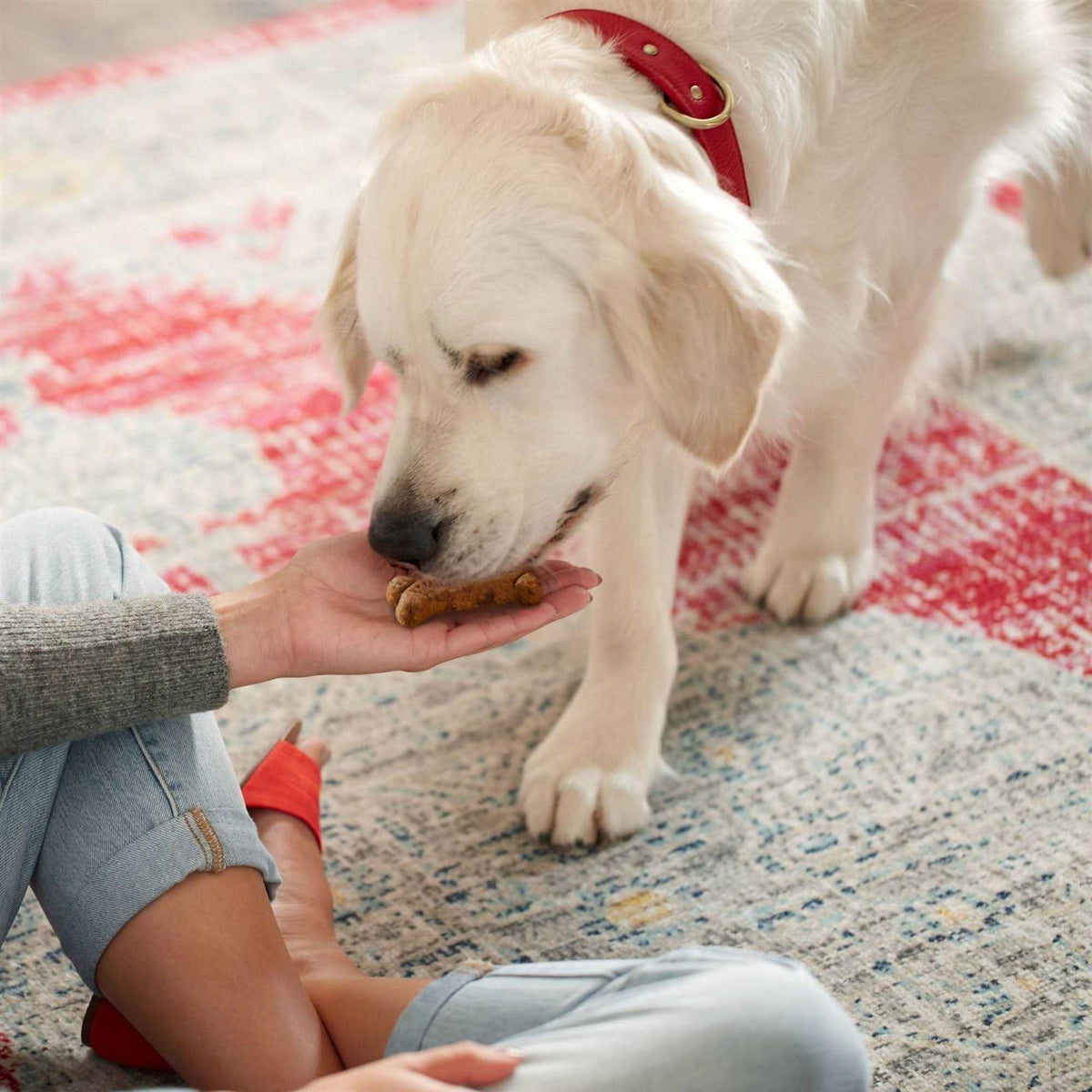 Dog Biscuits E244