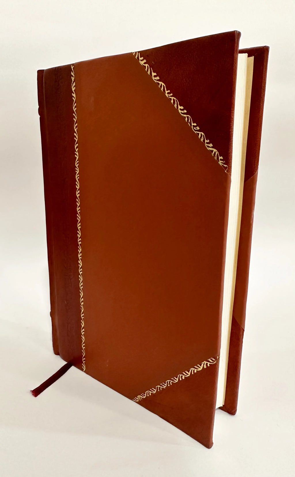 19th Century Ireland History Leather Bound D282763