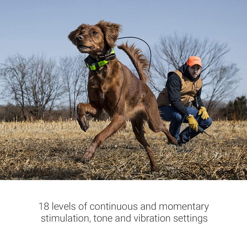 Dog Training System with GPS Tracking, Collar and Handheld N96268