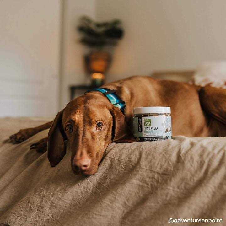 Herbal Calming Soft Chews V259840