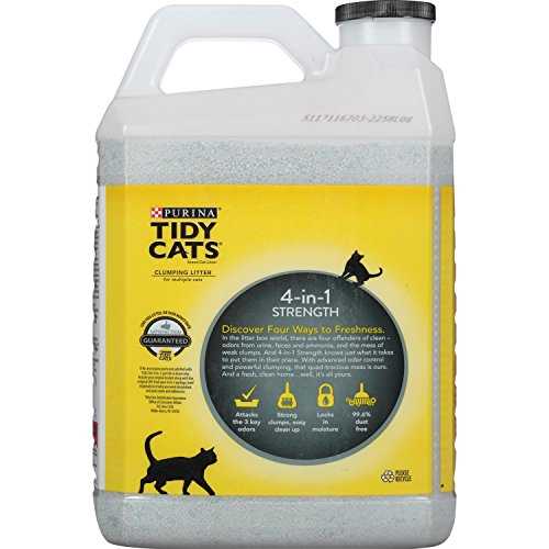 Scented Clumping Clay Cat Litter 20-lb Case of 2 L859