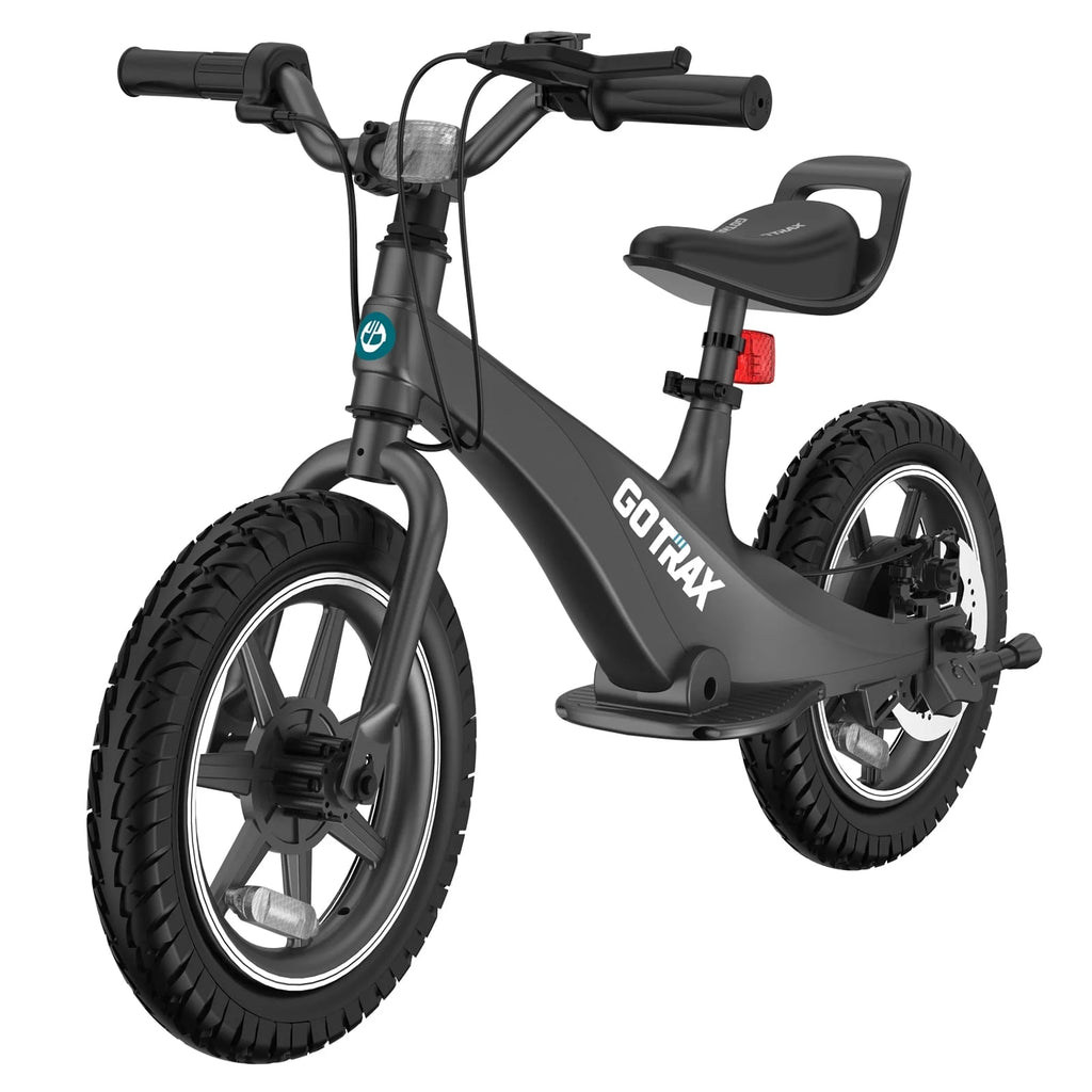 250W Electric Bike for Kids T9299