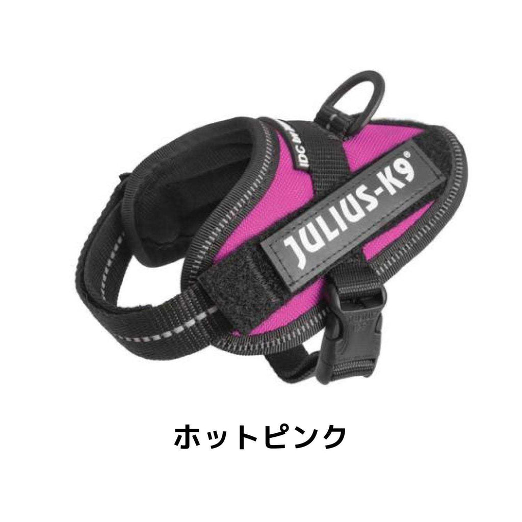 Powerharness N1386