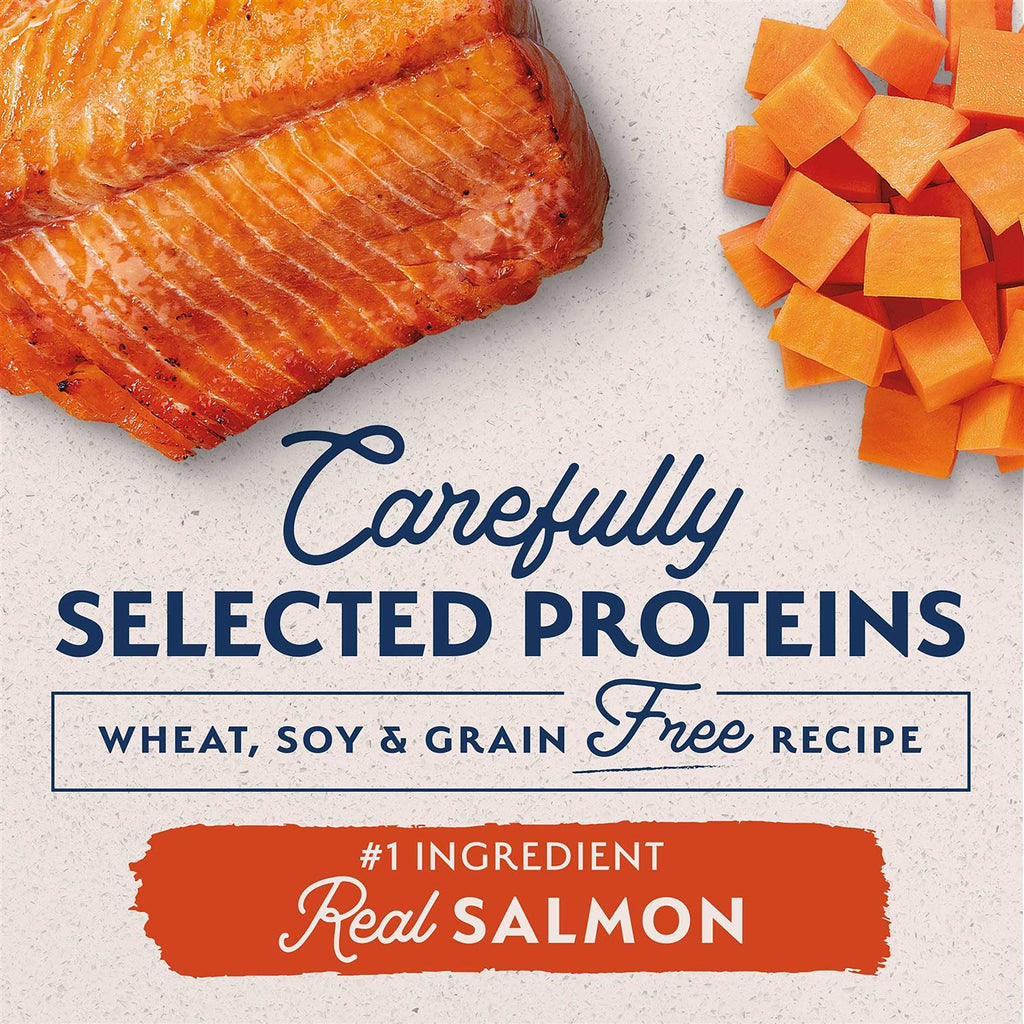 Salmon Sweet Potato Dry Dog Food N669