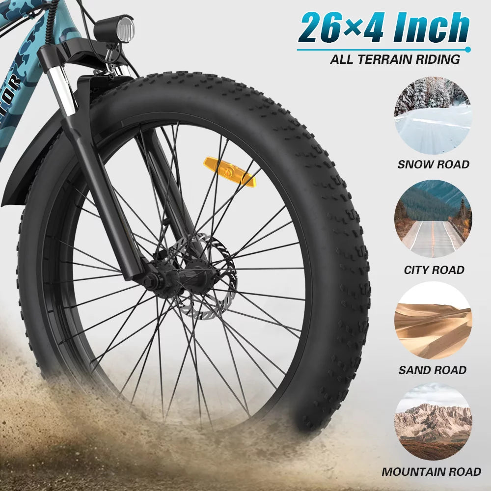 750W 48V 13AH Fat Tire Electric Mountain Bike R547
