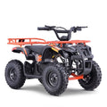 36V Electric 4-Wheeler for Teens U243
