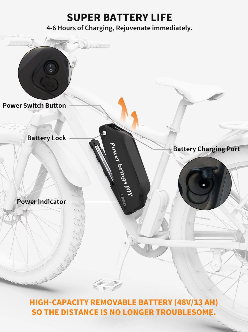 750W 48V 13AH Fat Tire Electric Mountain Bike R547