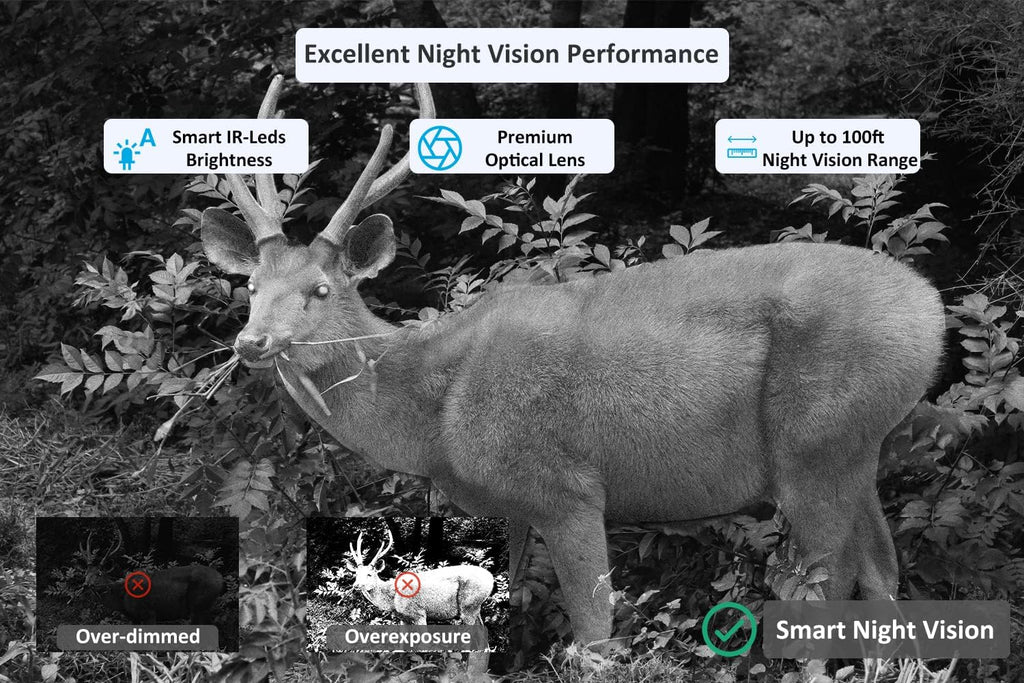 32mp 1296p Trail Camera with 100ft Night Vision Motion Activated Waterproof Y142