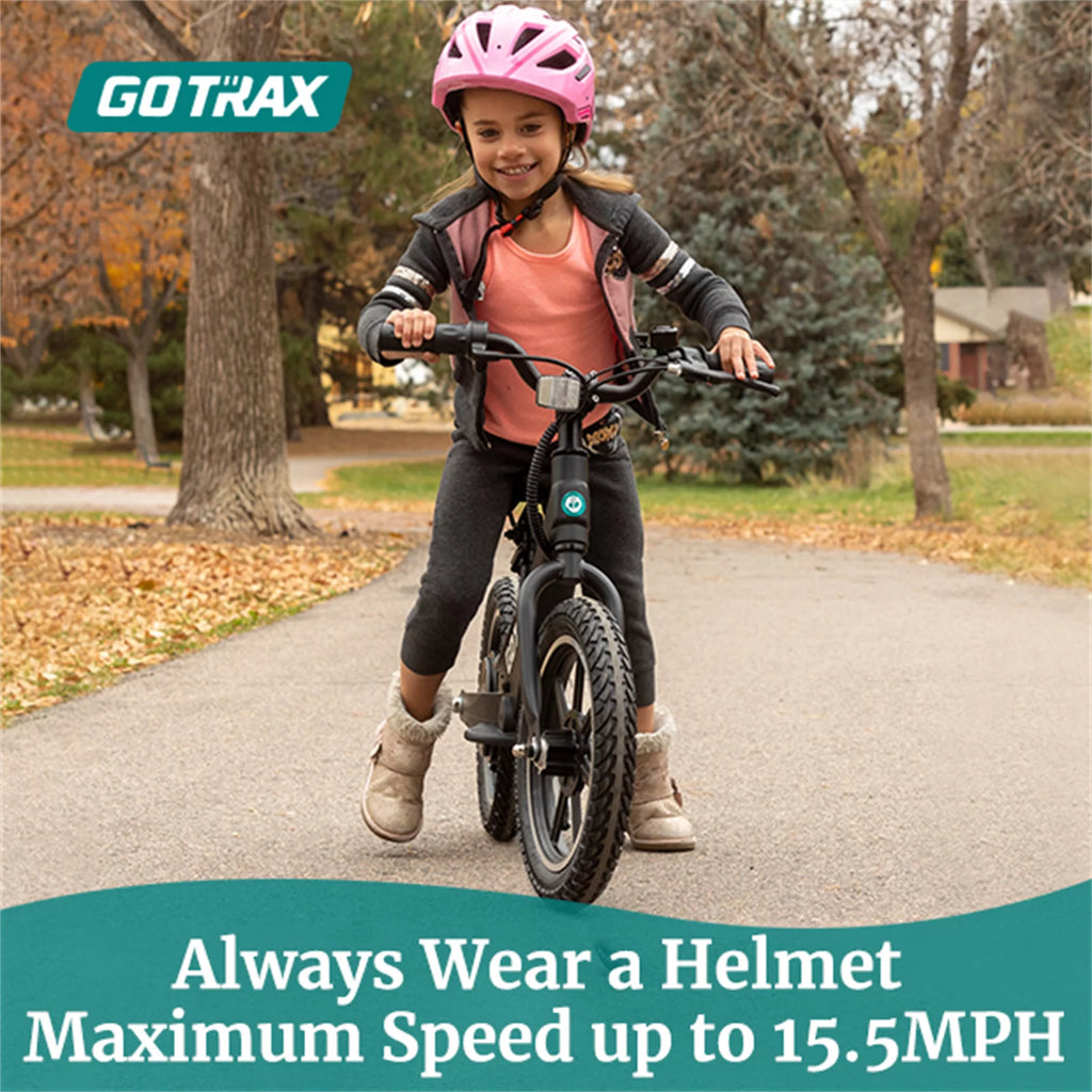 250W Electric Bike for Kids T9299