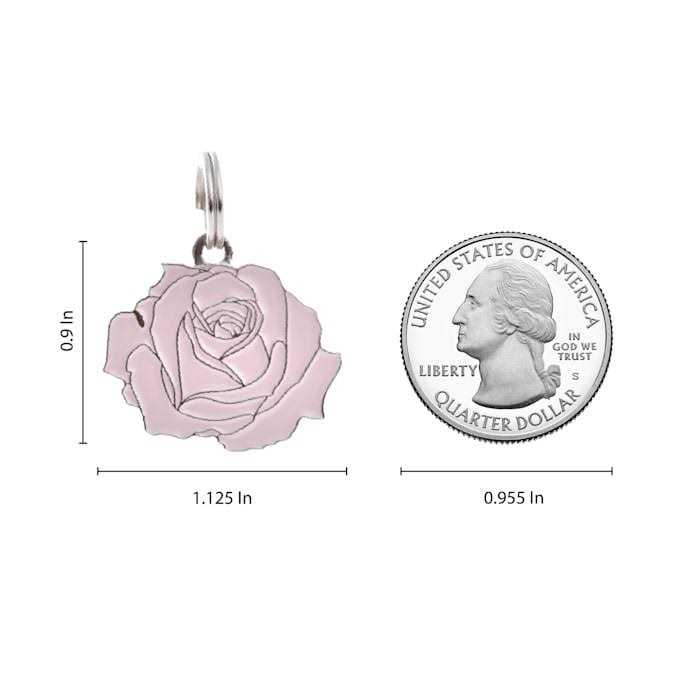 Rose Pet V694
