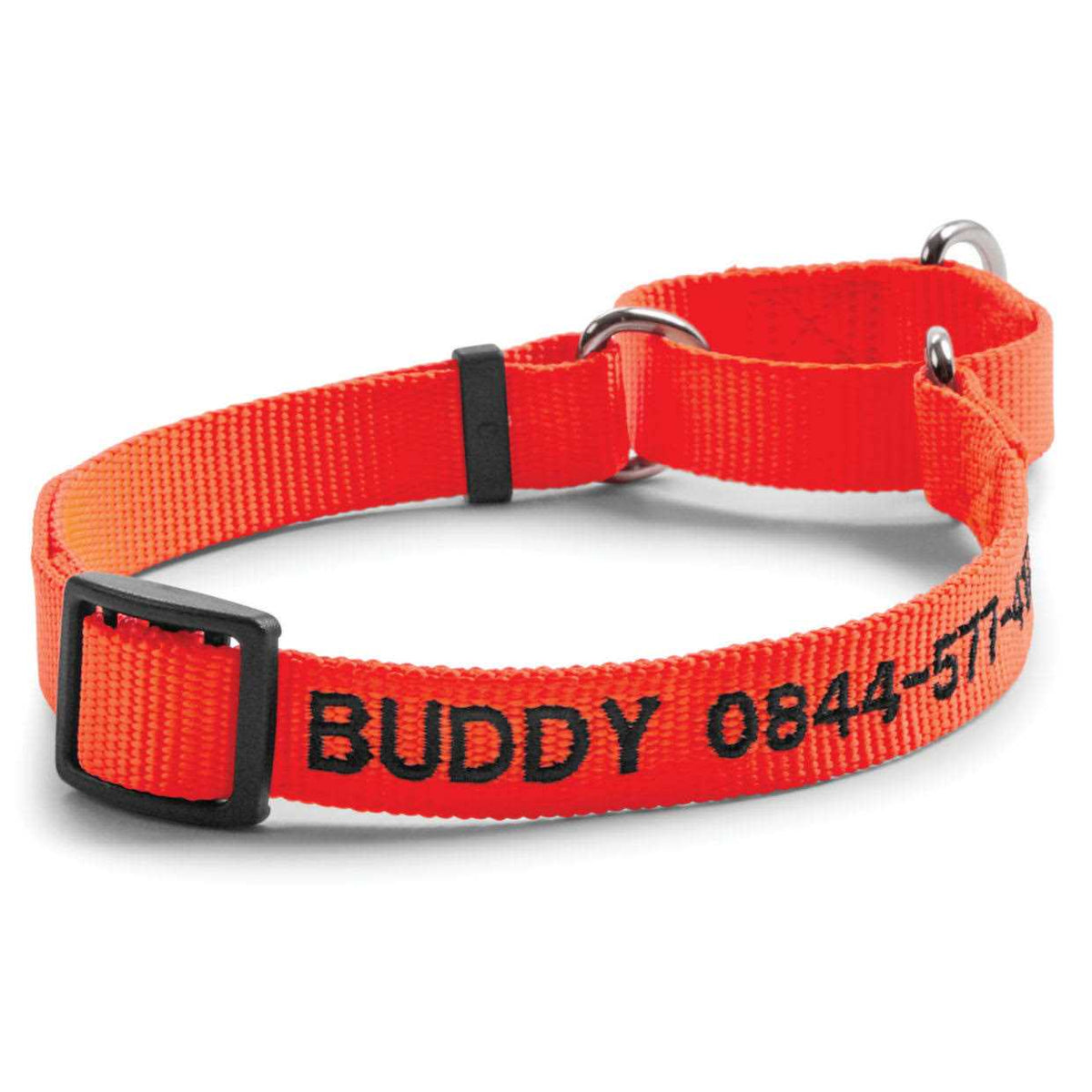 Dog'S Martingale Collar C907694