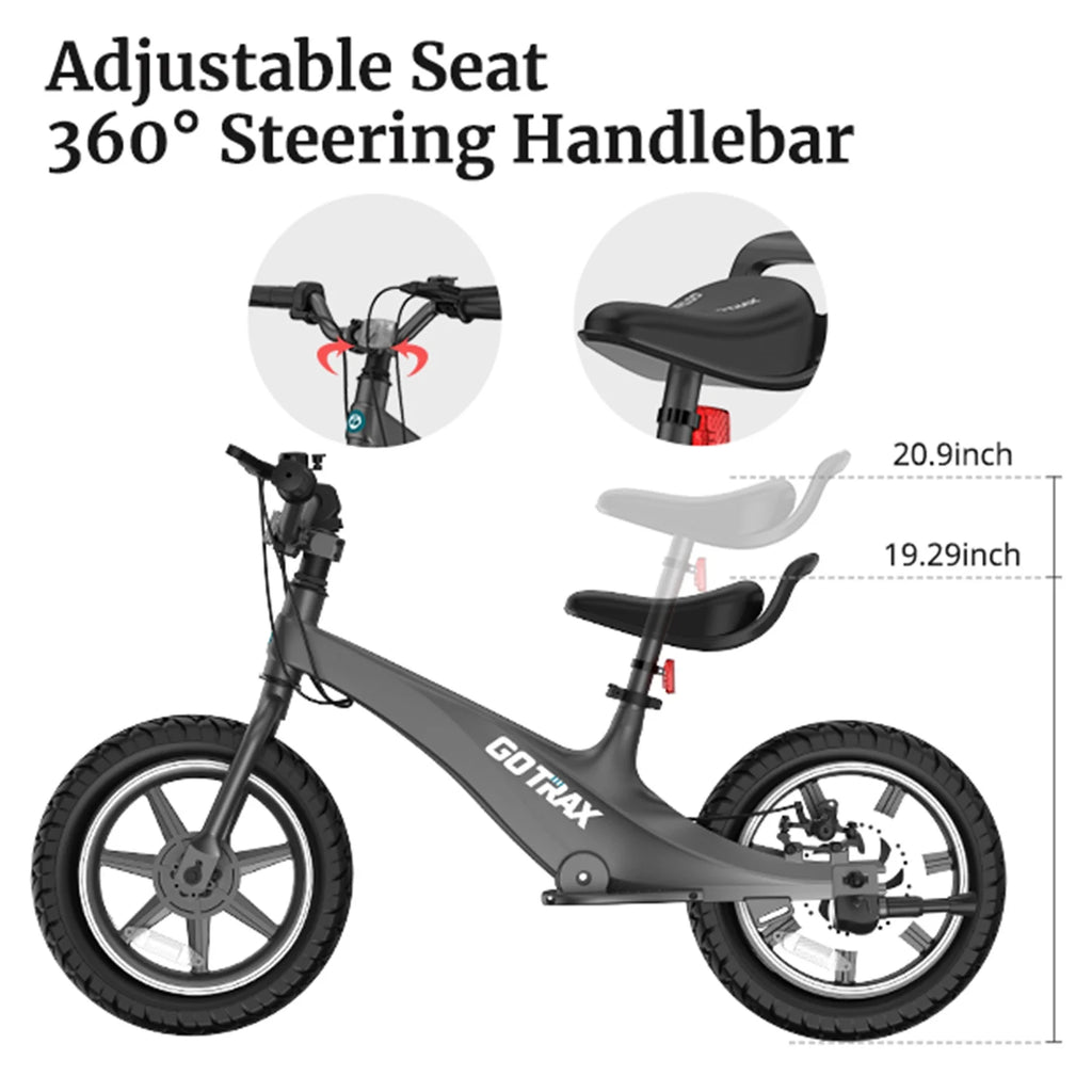 250W Electric Bike for Kids T9299