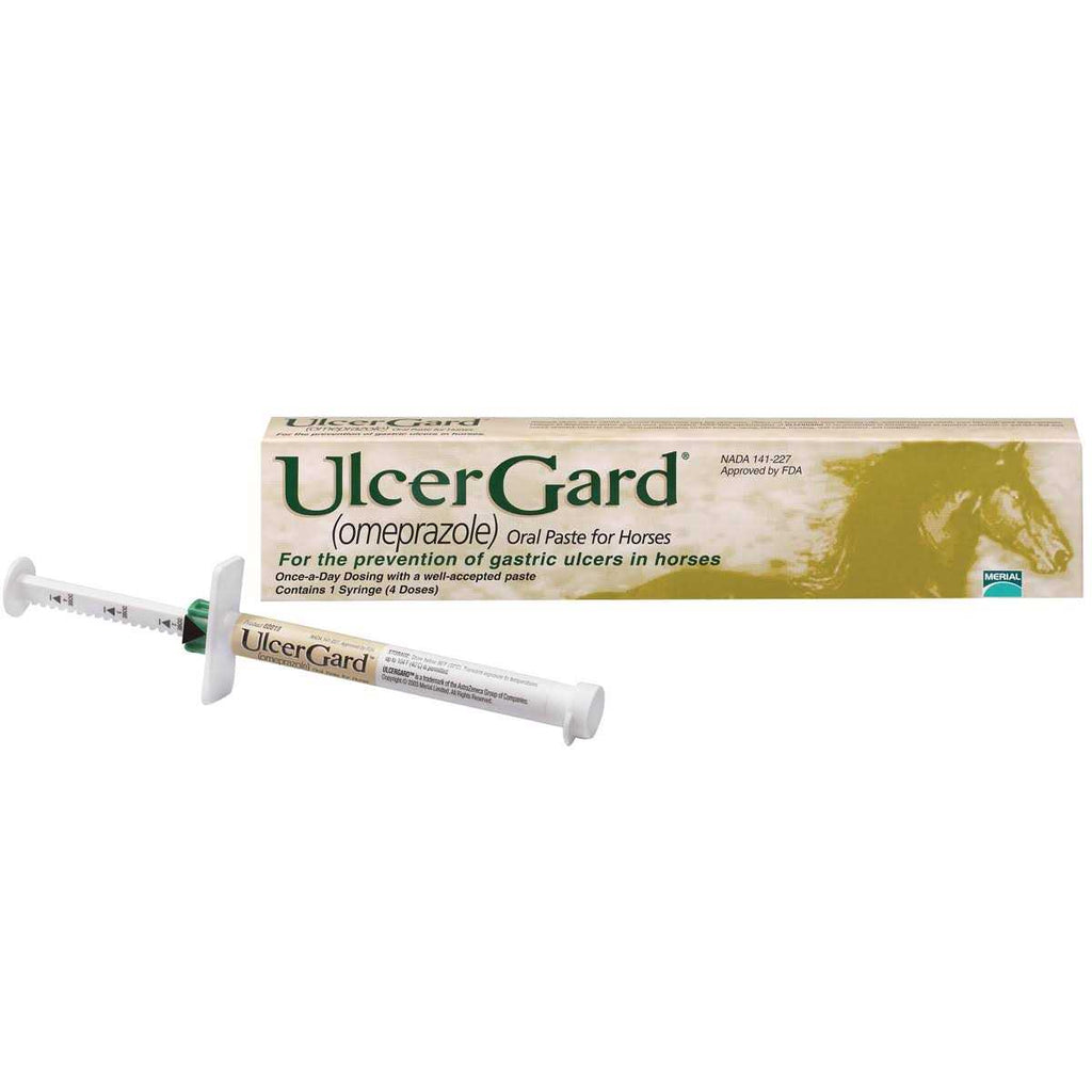 Oral Paste for Horses E503085