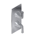 Architectural Black Two Hole Vertical Thermostatic Valve Trim Plate with Lever Handle Y904761