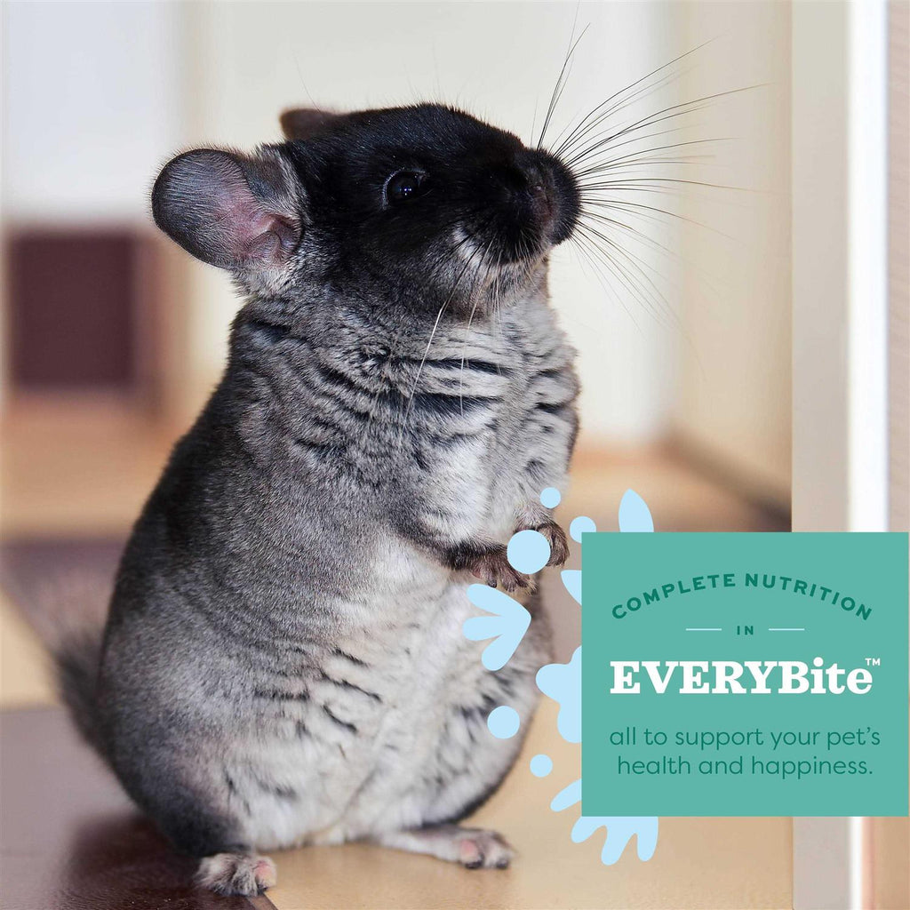 Chinchilla Food J541662