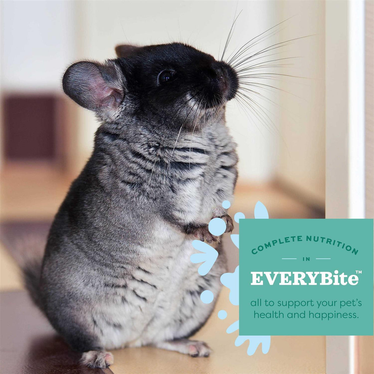 Chinchilla Food J541662