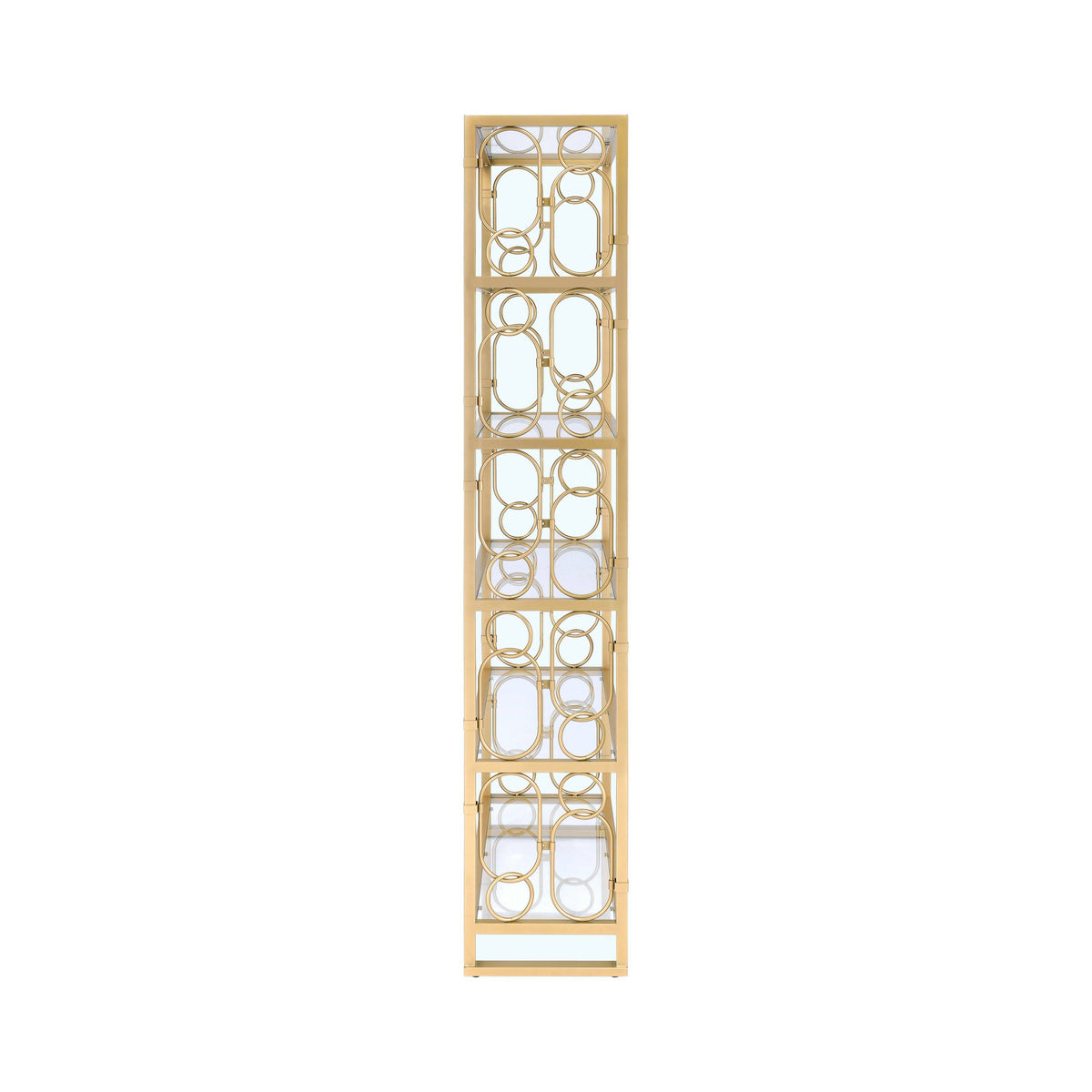 Clear Glass & Gold Bookshelf U166167