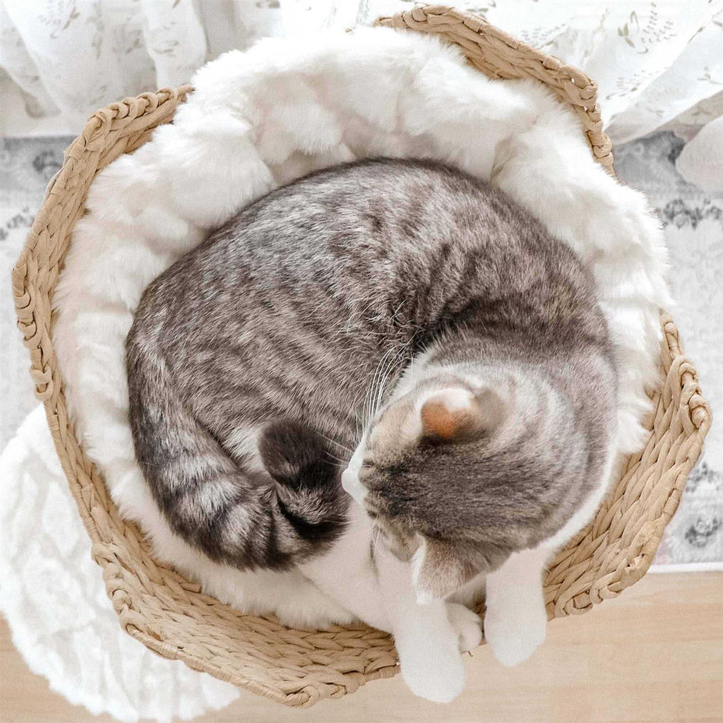 Cat Tree N26394