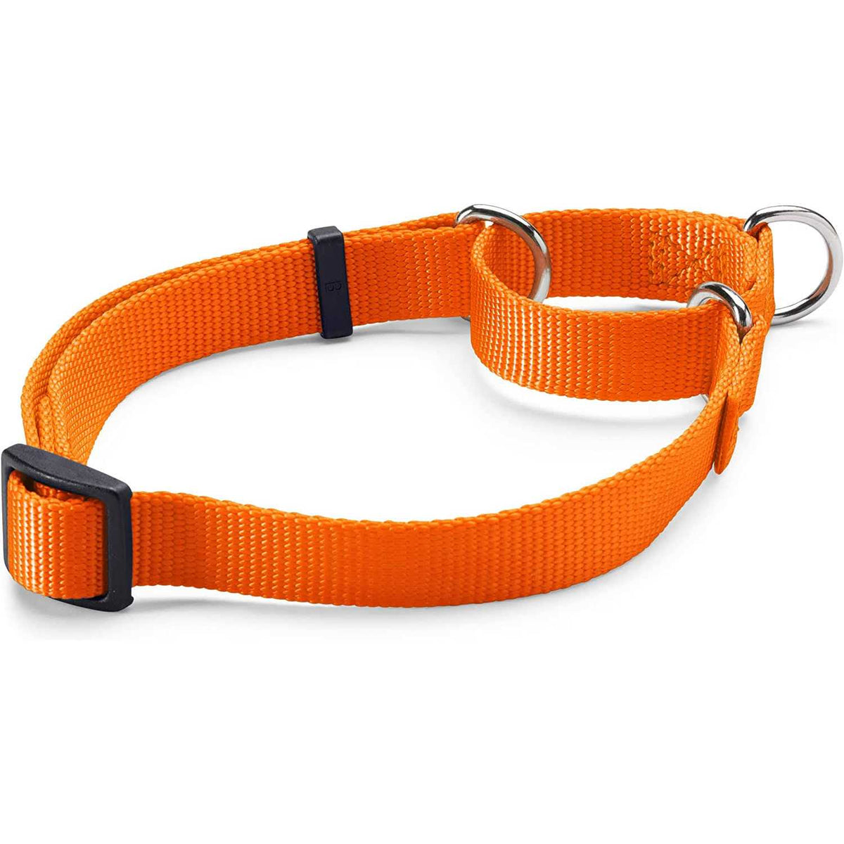 Dog'S Martingale Collar C907694