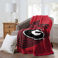 Officially Licensed Raschel Throw Blanket 60" x 80" Q791637