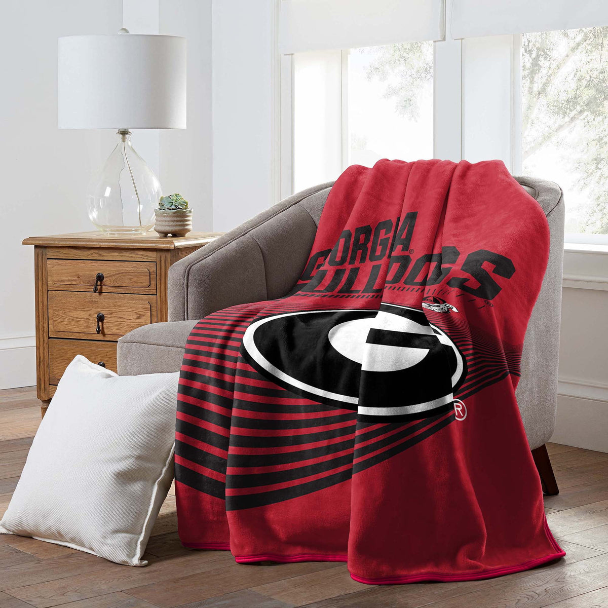 Officially Licensed Raschel Throw Blanket 60" x 80" Q791637