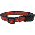 Pet Collar U2896