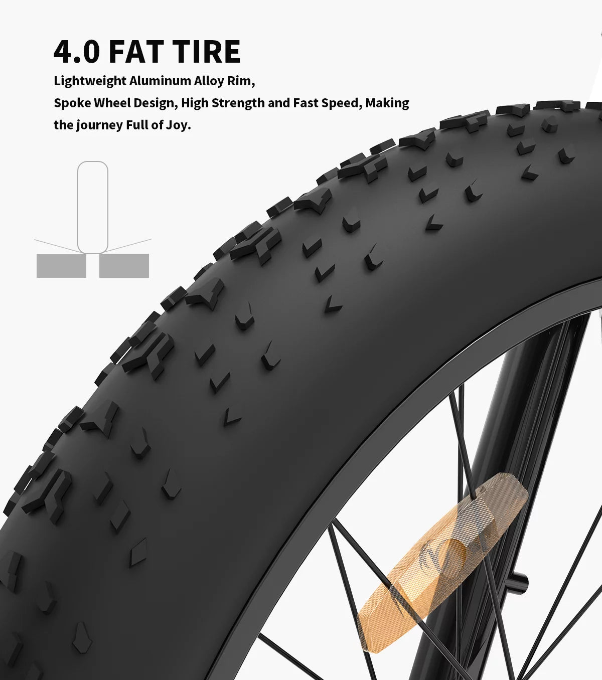 750W 48V 13AH Fat Tire Electric Mountain Bike R547
