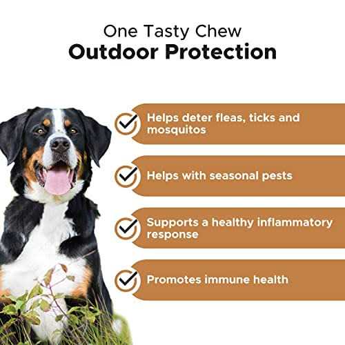 Flea & Tick Support Supplement Soft Chews for Dogs I440