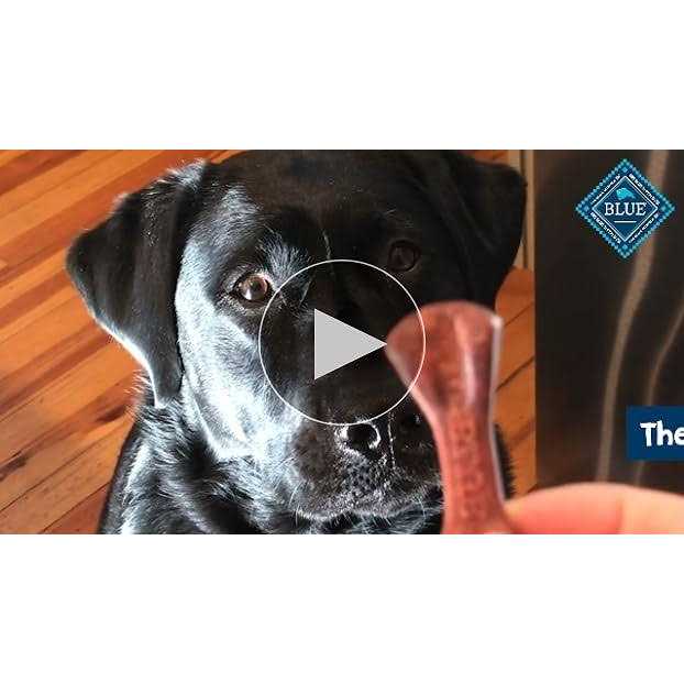 Dog Treats R776720