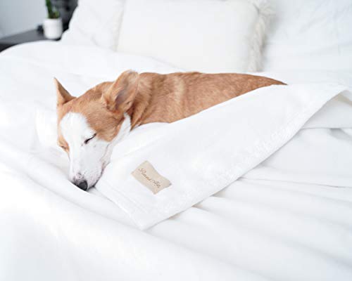 Natural Cotton Throw Blanket B7648