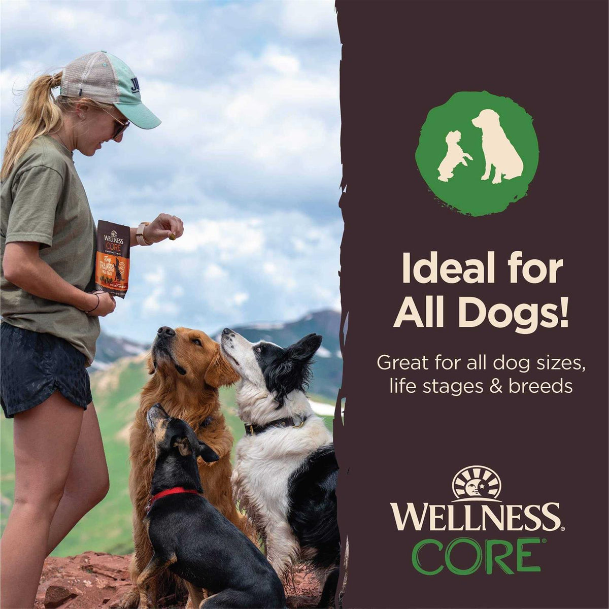 Dog Treats U47807