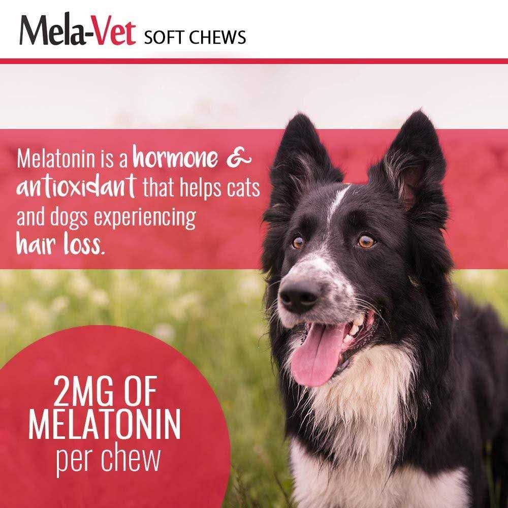 Melatonin Soft Chews for Dogs & Cats I903