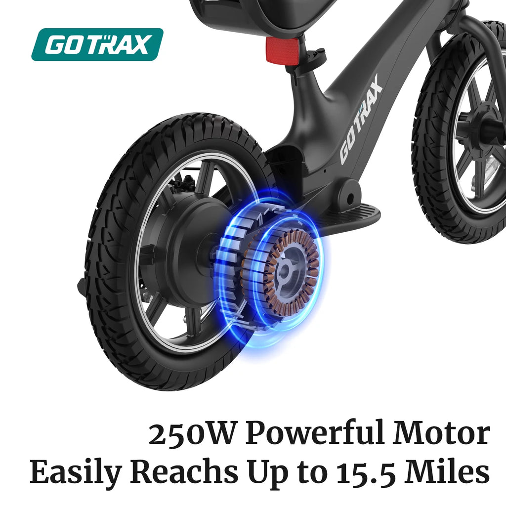 250W Electric Bike for Kids T9299