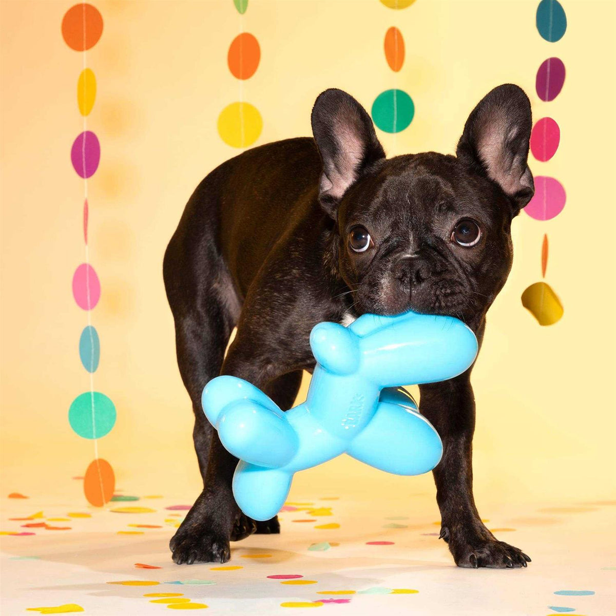 Dog Toy L5180