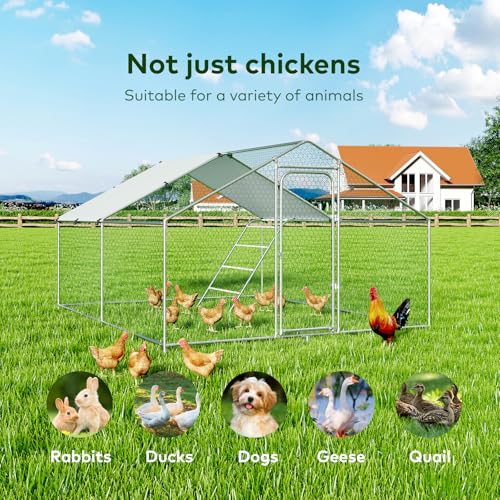 Large Metal Walk-in Chicken Coop with Cover S716547