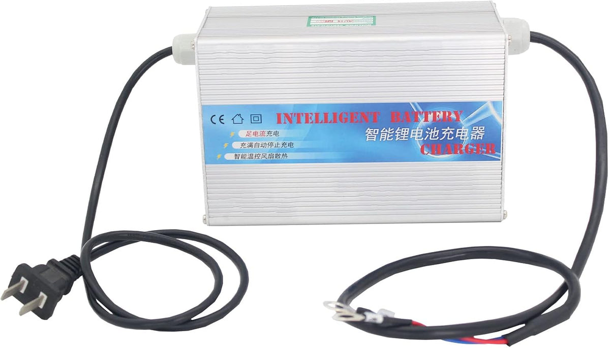 12V 200Ah Deep Cycle LiFePO4 Battery with Built-in 100AH BMS O1182