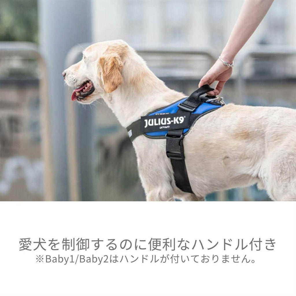 Powerharness N1386
