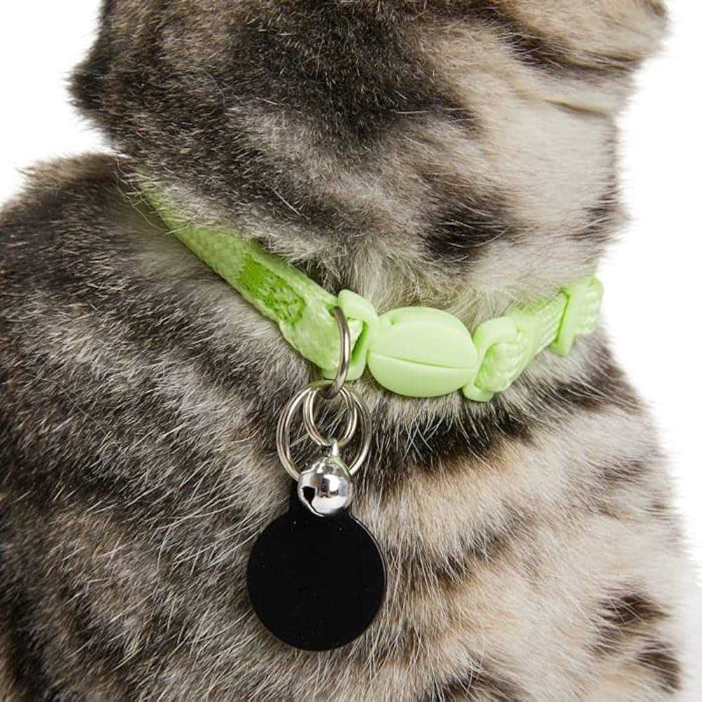 Glow in the Dark Green Kitten Collar O13902