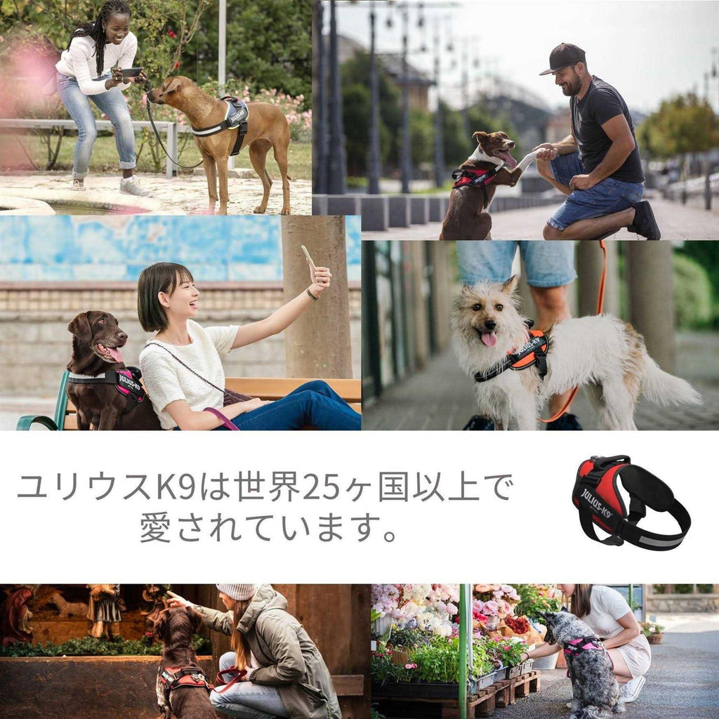Powerharness N1386