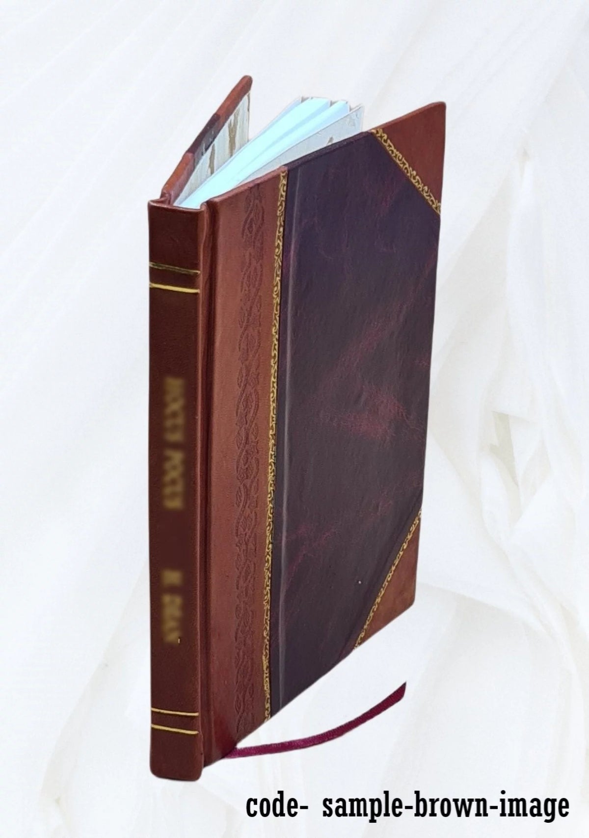 Moravian Chronicle 1749-1767 Leather Bound S221161