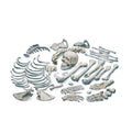 Disarticulated Human Skeleton D962